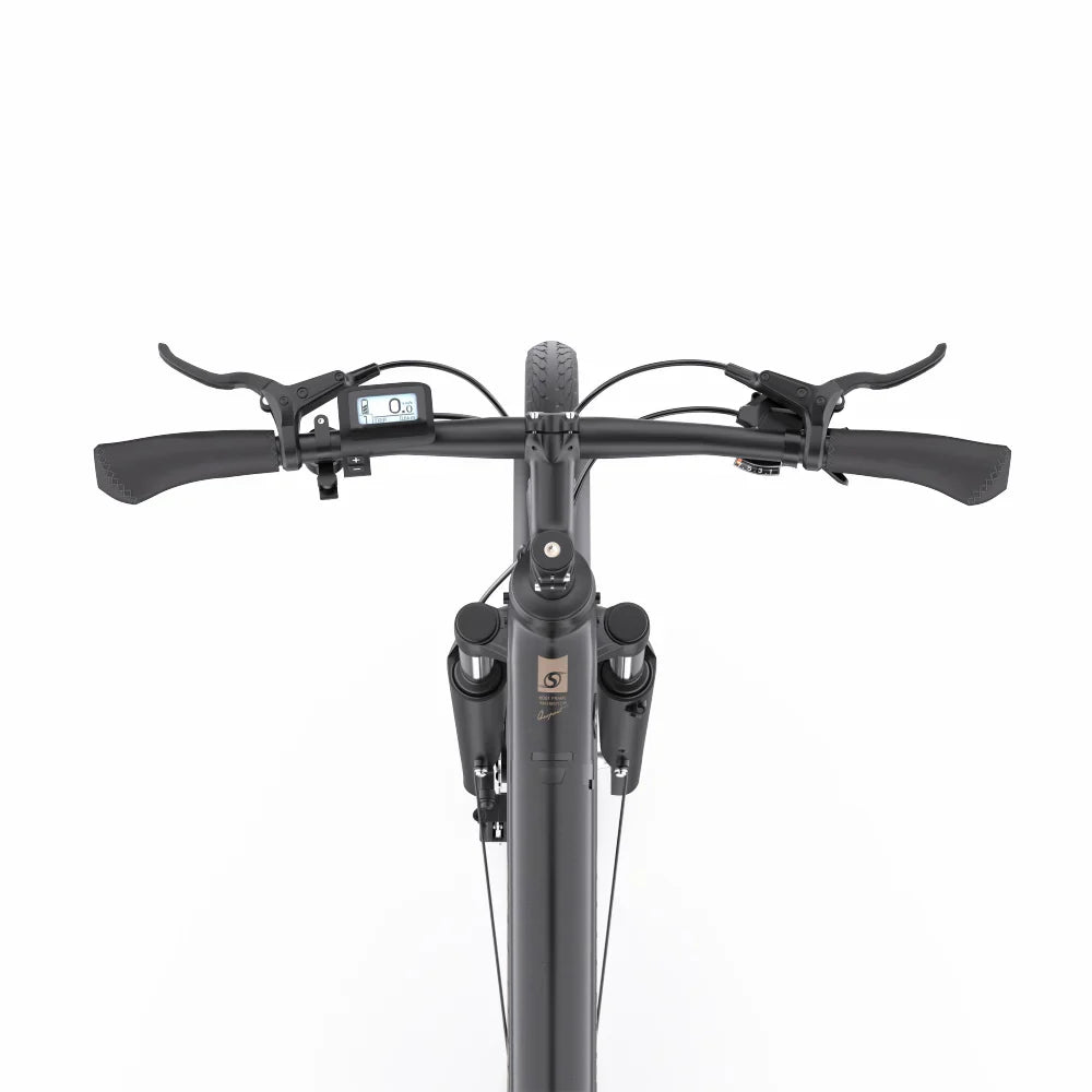 205-Onesport OT07 E-bike
