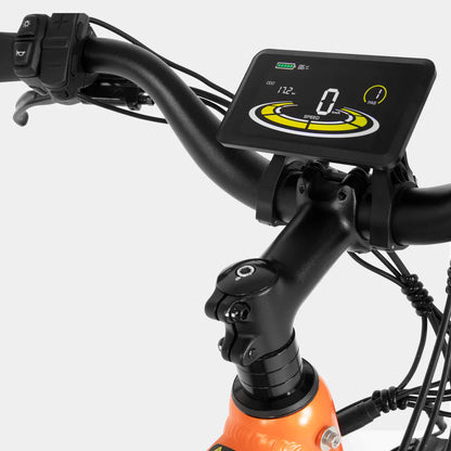 Crazybird Jumper/CB60 E-Bike