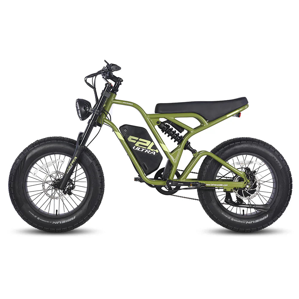 315-Fafrees F20 Ultra Robustes Elektroauto