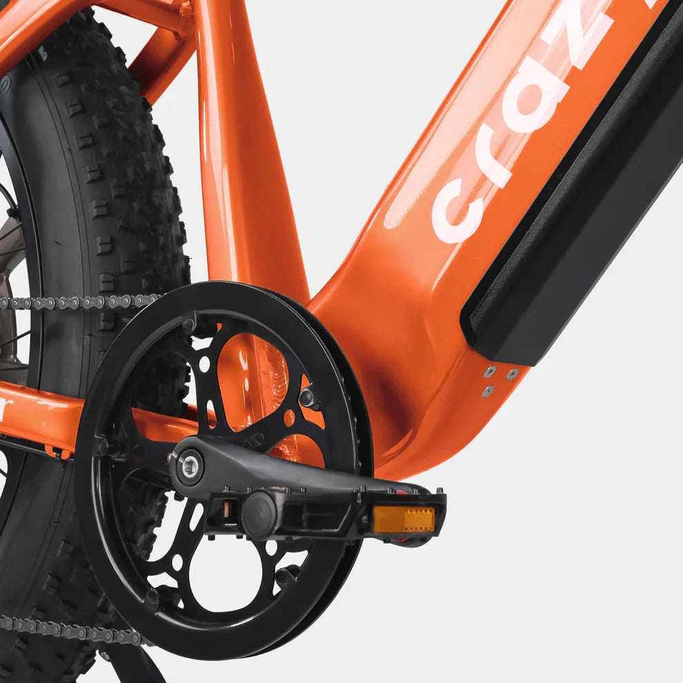 Crazybird Jumper/CB60 E-Bike