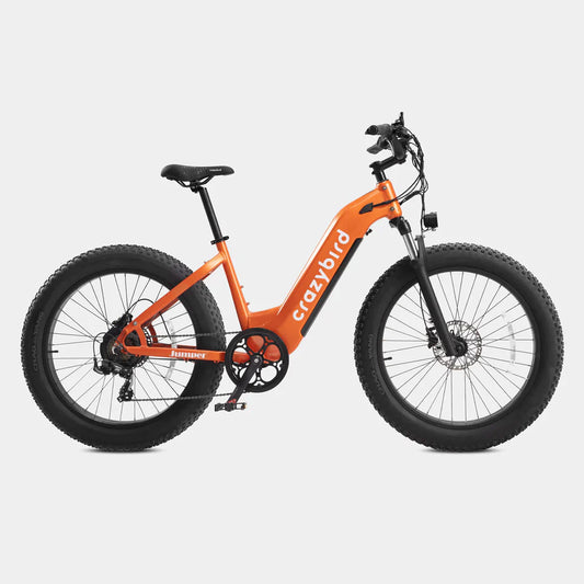 Crazybird Jumper/CB60 E-Bike