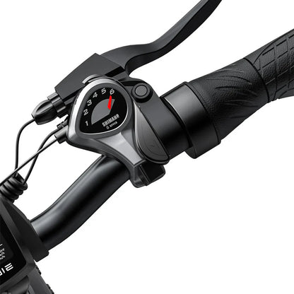 114-Engwe EP-2 Pro Combo with Additional Battery (16 Ah)